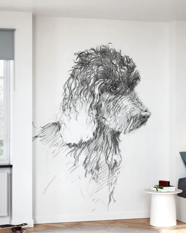 Nowy Szkic Labradoodle