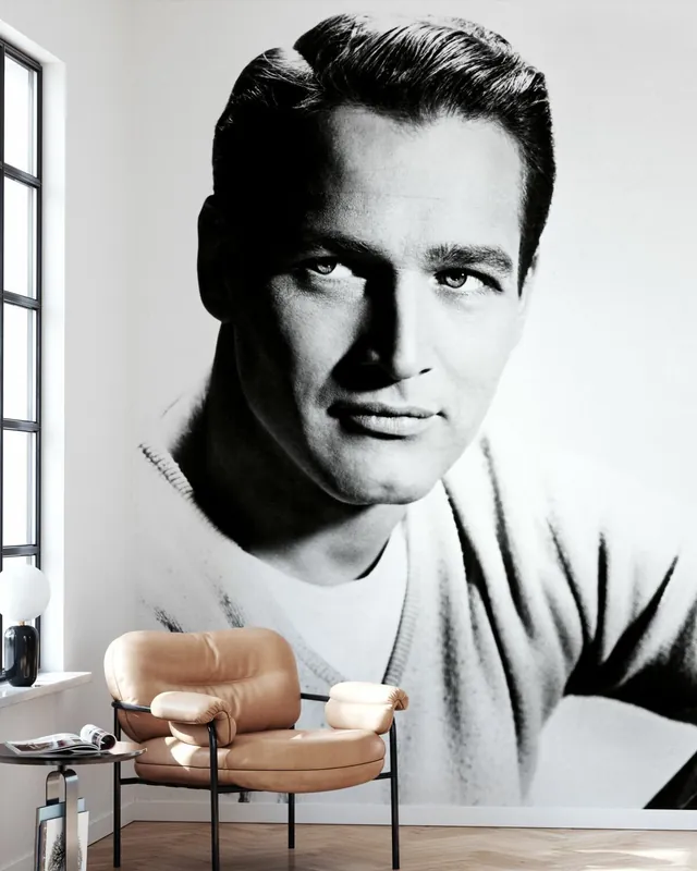 Najlepsza cena Paul Newman
