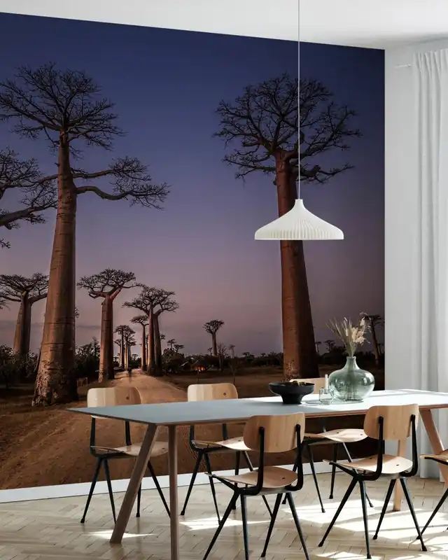 Nie przegap All Ace des Baobabs