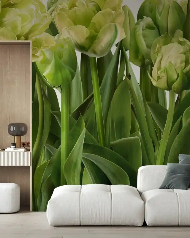Tulipany i tulipany Wyjątkowa oferta