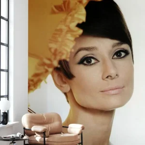 Audrey Hepburn Ostatnia szansa