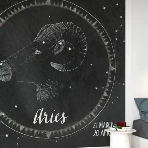 Aires nocnego nieba Dodaj do koszyka
