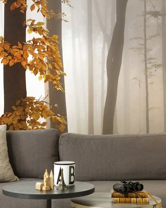 W listopadowym świetle Oferta czasowa