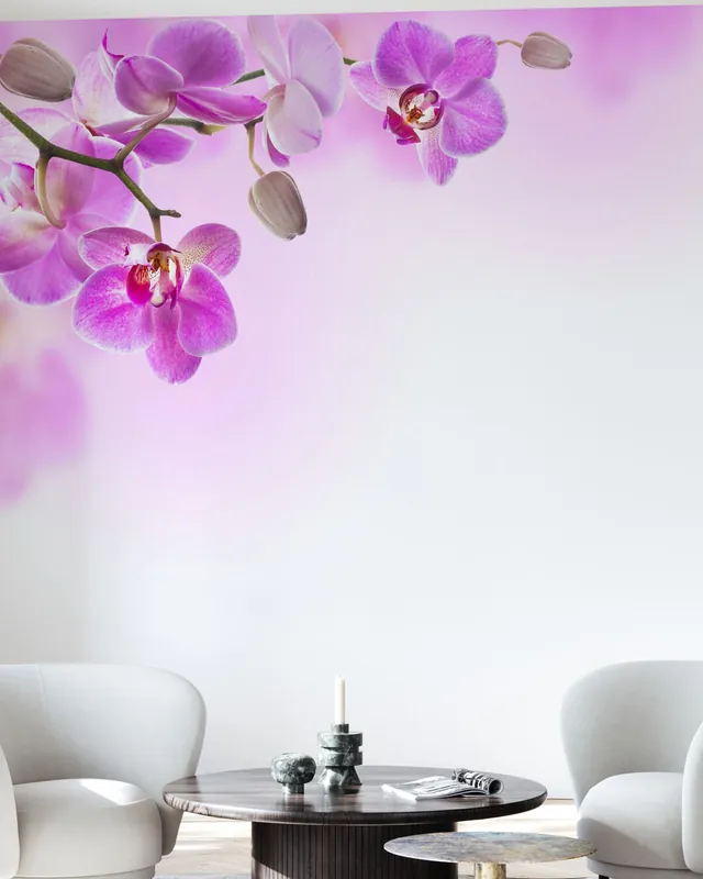 Tropikalne fuksjowe orchidee Oferta czasowa