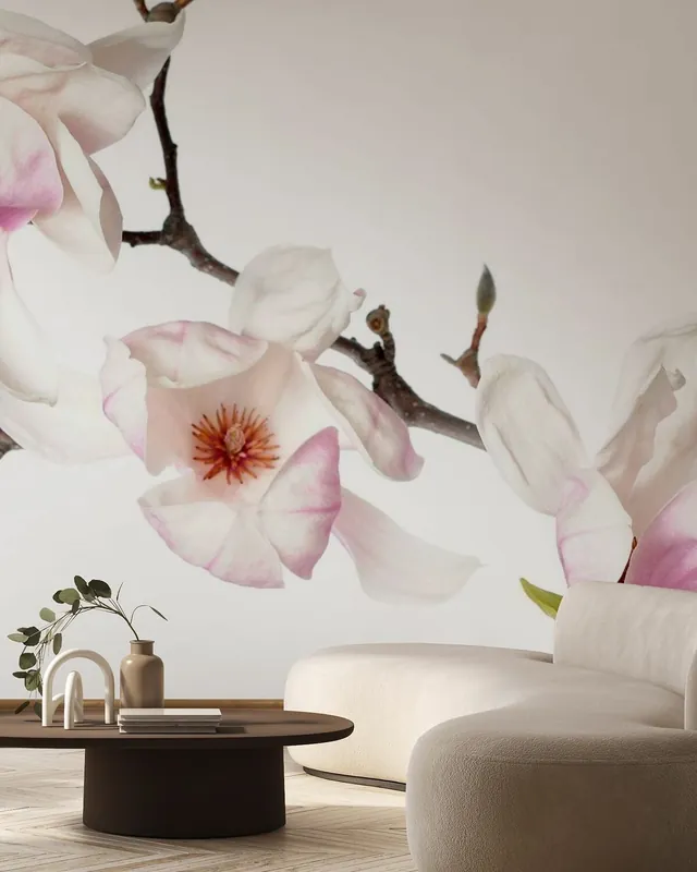 Okazja Pąki Orchidei