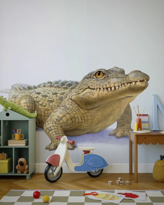 Przód Krokodyla Kup online
