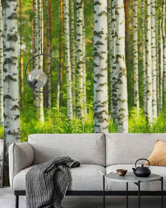 Brzozowy Las Wyjątkowa oferta