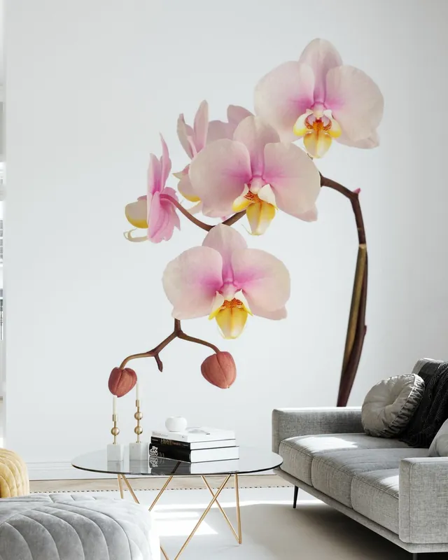 Szybka wysyłka Różowa łodyga orchidei