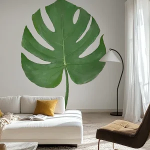 Bestseller Monstera Aqua 07