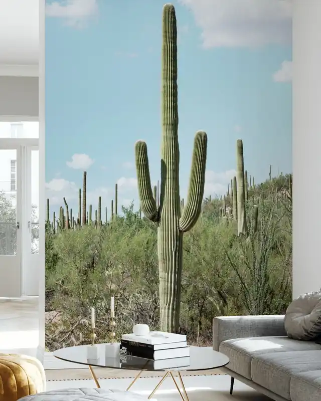 Kaktusy Kaktus - Kaktus Saguaro Nowość