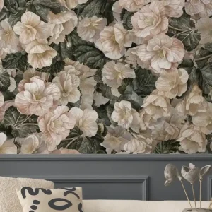 Begonia Biały Kwiat Bestseller