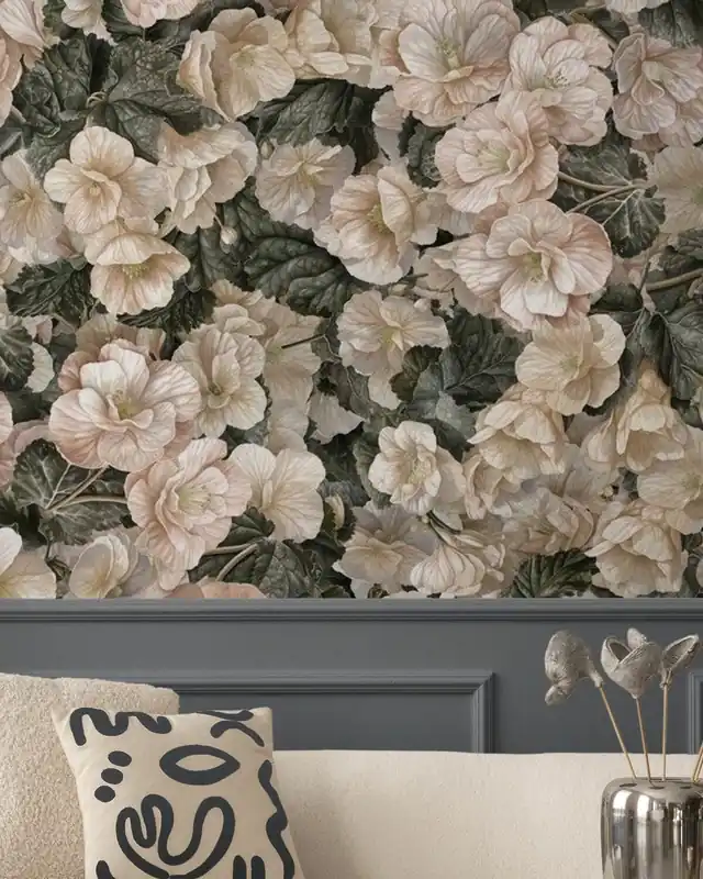 Begonia Biały Kwiat Bestseller