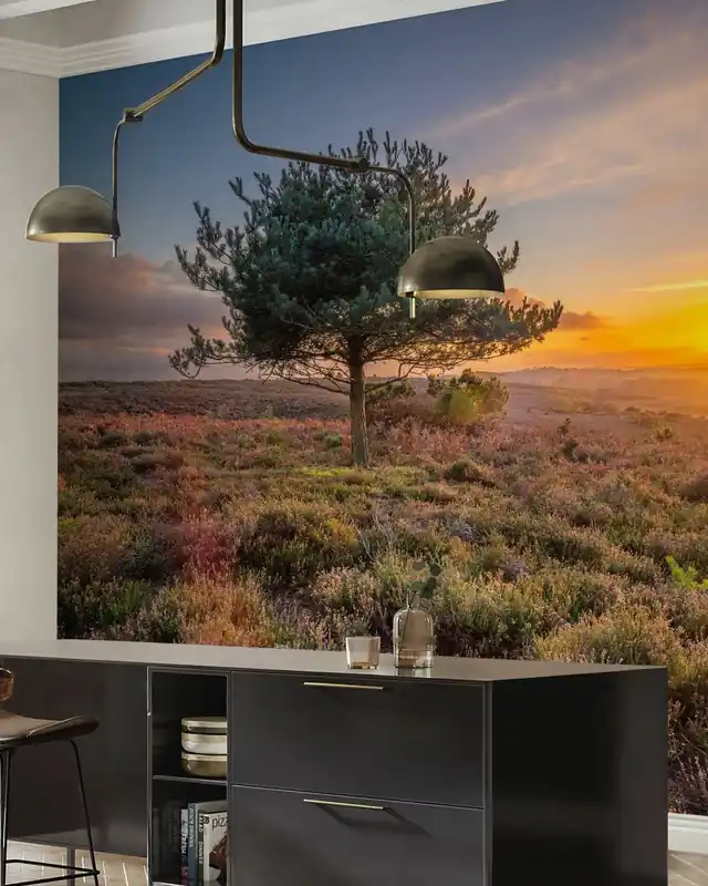 Tani Samotne drzewo zachód słońca New Forest